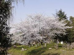 -堤角公园