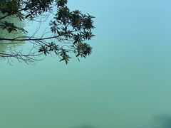 -广州市流溪河国家森林公园