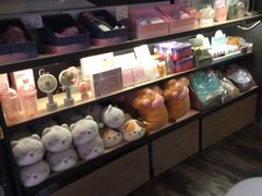-酷乐潮玩(金桥国际店)