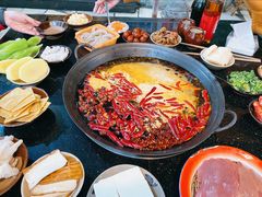 红汤锅底-肥龙火锅(南坪店)