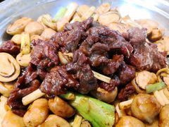 鲜菇牛肉-农汤老店(顺联公园里店)