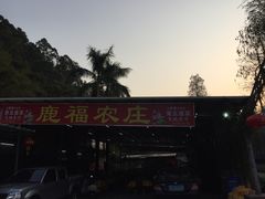 -鹿福农庄(南沙天后宫店)