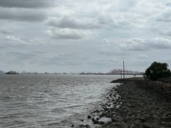 -上海滨江森林公园