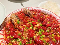 -欧记大排档·景德菜(上海首店)