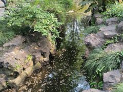 -秋霞圃