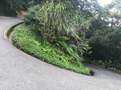 -广州市帽峰山景区