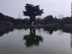 -东台西溪天仙缘景区