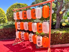 -阳台山自然风景区