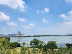 -金银湖国家城市湿地公园