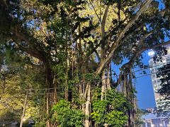 -翠恒酒家(宴会厅)