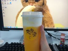 -丸摩堂鲜果茶(万年场店)
