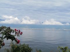 -小普陀