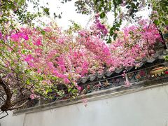 -深圳国际园林花卉博览园