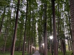 -上海怡沁园度假酒店