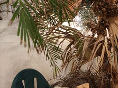 -The Good Place好地方·Brunch·coffee(国贸店)