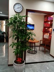 -馨园中式经络美容