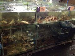 android_upload_pic-岛中岛·海鲜大排档·万宁老字号(东澳店)