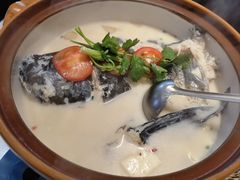 -全乐鱼馆·淳牌有机鱼直营店