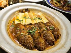 -买福记大盘鸡新疆菜