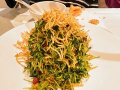 巧拌豆苗-四季民福烤鸭店(王府井灯市口店)