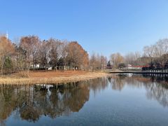 -同里国家湿地公园