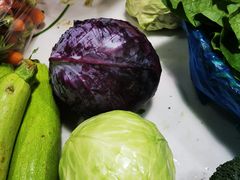 -九里河湿地公园