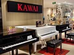 -柏斯音乐艺术中心·钢琴·吉他(上音店)