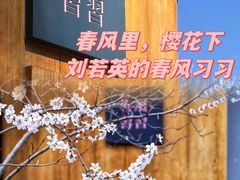-春风习习