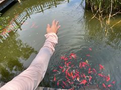 -横山寺