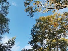 -苏州太湖国家湿地公园
