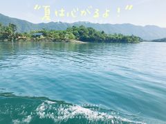 -仙岛湖旅游风景区