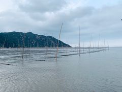 -北岐滩涂