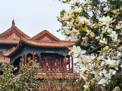 -地坛公园