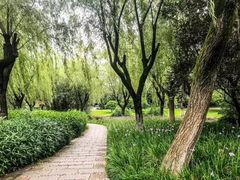 -宁波儿童公园(鄞州区)
