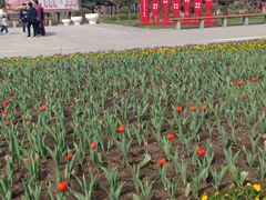 -长春公园(普阳街道)