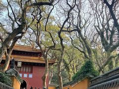 -普陀山风景名胜区-法雨禅寺