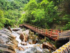 -广州白江湖森林公园