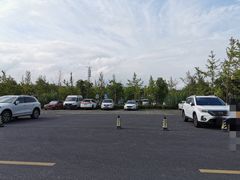 -上海浦江郊野公园·1号停车场