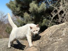 -偏爱炒鸡(老县衙店)