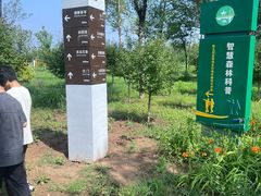-东郊湿地公园