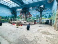 -鄂尔多斯野生动物园