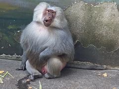 -无锡动物园·太湖欢乐园