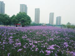 -杭州城北体育公园