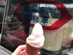 -富豪雪糕车流动点(尖沙咀店)