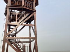 -日照海滨国家森林公园