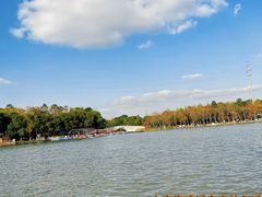 -上海海湾国家森林公园