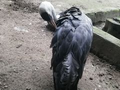 -哈尔滨北方森林动物园