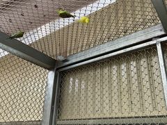 -正佳雨林生态植物园