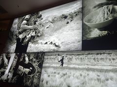 景观位-云海肴·汽锅鸡·云南菜(苏州中心店)