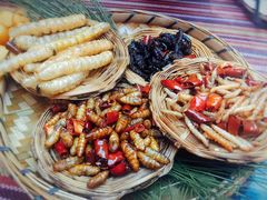 -昆虫窝子·特色云南菜(拓东路总店)
